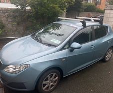 2010 Seat Ibiza