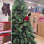 christmas tree Image 8