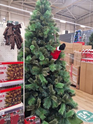 christmas tree