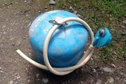 Camping gas cylinder and reg/hose