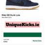 Rare Nike SB Navy Black Gum PRM Orange Label Image 5