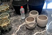 plant pot