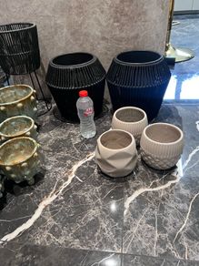 plant pot
