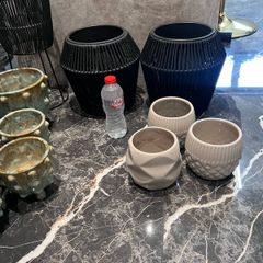 plant pot