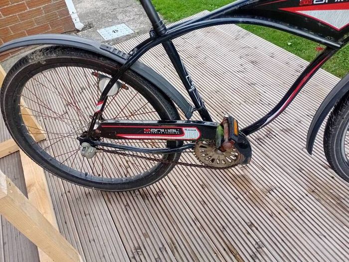 adults bike
