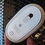 Apple mouse Image 2