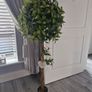 Artificial Bay Tree Image 2