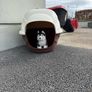 Dog Kennel plastic Igloo Image 5