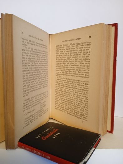 The Yellowplush Papers by William Makepeace Thackeray (HQ372)