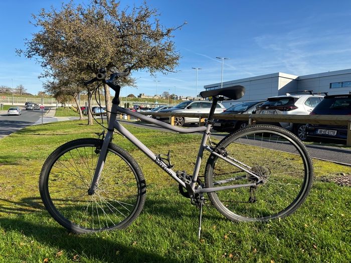 Hybrid bike