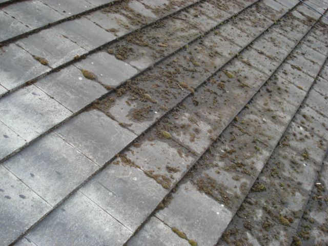 Roof and Gutters Repair, Exterior & Interior Painting, Powerwashing-Cleaning Service