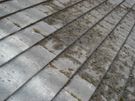 Roof and Gutters Repair, Exterior & Interior Painting, Powerwashing-Cleaning Service Image 7