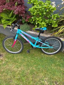 Avery 20" Child's Bike