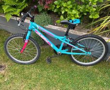 Avery 20" Child's Bike