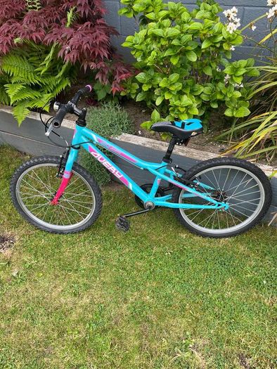 Avery 20" Child's Bike