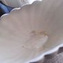 Beautiful Sylvac shell mantle vase Image 4