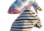 Stripes and Coins Double Sided Bandana Bibs
