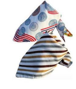 Stripes and Coins Double Sided Bandana Bibs
