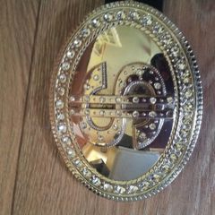 Genuine leather belt with dollar sign
