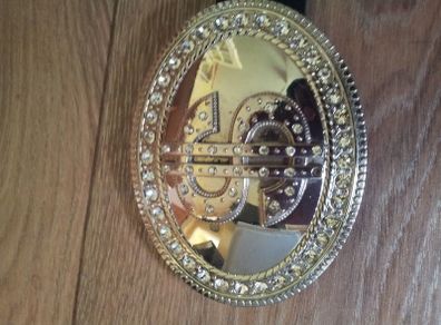 Genuine leather belt with dollar sign