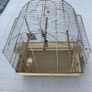 Bird cage Image 3