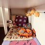 Childs Mid Sleeper Bed Image 4