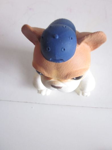 OMG Pets Have Talent French Bulldog Singing Pup