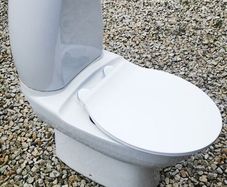 Free Toilet
