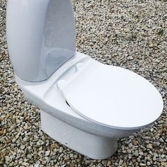 Free Toilet