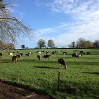 Munster Astroturf Jobs in Ireland