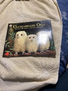 Irish language children's book