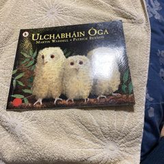 Irish language children's book