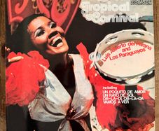 Tropical Carnival Vinyl