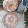 mexico hat pig trough Image 3