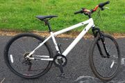 Teenagers/adult mountain bike