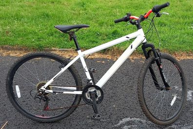 Teenagers/adult mountain bike