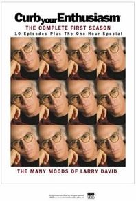 Curb Your Enthusiasm The Complete First Season DVD