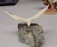 Bird ornament