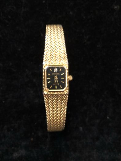 Aroxana ladies watch