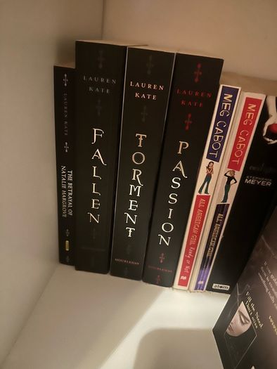 Young Adult Novels