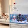 Protein Skimmer for 200-400 L Saltwater Aquariums Internal with Pump, Protein Skimmer with DC Pinwheel Pump, Adjustable Control, Air Silencer, for 200-400 L Saltwater Aquariums & Fish Reef Tank Image 8