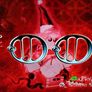 DVD Tool : Toology Image 3