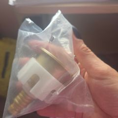 brushed brass toilet flush button