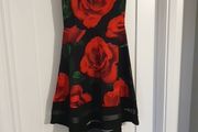 ladies dress
