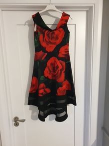 ladies dress
