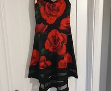 ladies dress