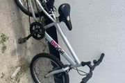silver Ridge Back 240 mountain bike