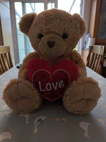 Teddy Bear