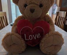 Teddy Bear