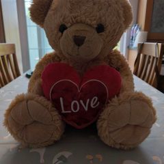 Teddy Bear